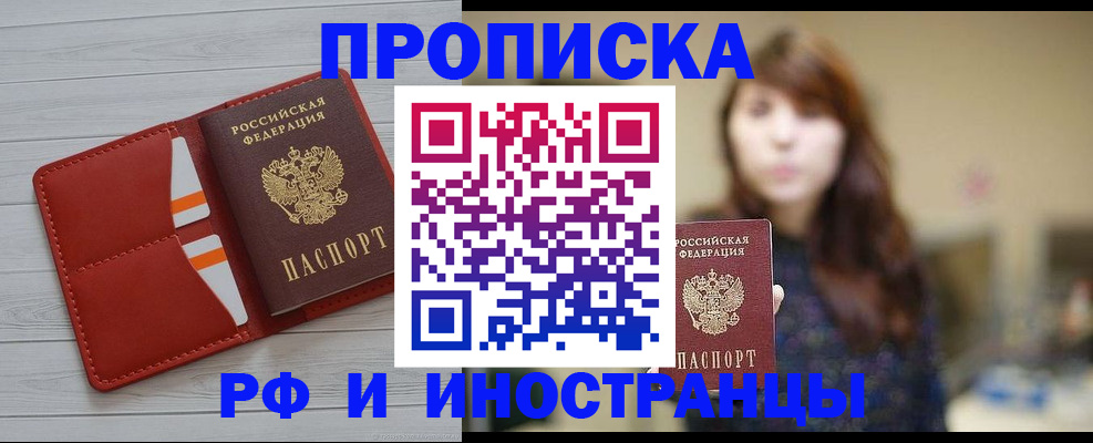 временная регистрация поиск в Курской области